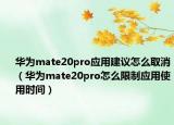 华为mate20pro应用建议怎么取消（华为mate20pro怎么限制应用使用时间）