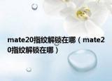 mate20指纹解锁在哪（mate20指纹解锁在哪）