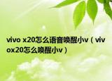 vivo x20怎么语音唤醒小v（vivox20怎么唤醒小v）