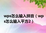 wps怎么输入拼音（wps怎么输入平方2）
