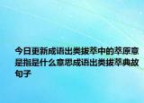 今日更新成语出类拔萃中的萃原意是指是什么意思成语出类拔萃典故句子