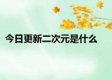 今日更新二次元是什么