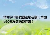 华为p10开发者选项在哪（华为p10开发者选项在哪）