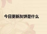 今日更新灰饼是什么