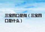 三宝四口是指（三宝四口是什么）
