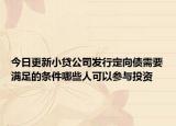 今日更新小贷公司发行定向债需要满足的条件哪些人可以参与投资