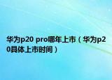 华为p20 pro哪年上市（华为p20具体上市时间）