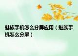 魅族手机怎么分屏应用（魅族手机怎么分屏）