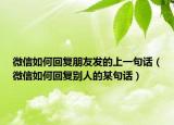微信如何回复朋友发的上一句话（微信如何回复别人的某句话）