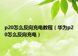 p20怎么反向充电教程（华为p20怎么反向充电）