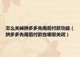 怎么关掉拼多多先用后付款功能（拼多多先用后付款在哪里关闭）
