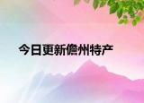 今日更新儋州特产