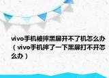 vivo手机被摔黑屏开不了机怎么办（vivo手机摔了一下黑屏打不开怎么办）