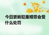 今日更新犯重婚罪会受什么处罚