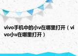 vivo手机中的小v在哪里打开（vivo小v在哪里打开）