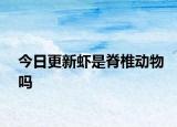 今日更新虾是脊椎动物吗