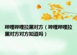 哔哩哔哩拉黑对方（哔哩哔哩拉黑对方对方知道吗）