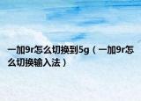 一加9r怎么切换到5g（一加9r怎么切换输入法）