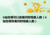 b站在哪可以查看同时观看人数（b站在哪里看同时观看人数）