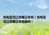 充电宝可以充笔记本吗（充电宝可以充笔记本电脑吗）