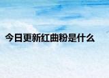 今日更新红曲粉是什么