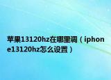 苹果13120hz在哪里调（iphone13120hz怎么设置）