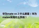 华为mate xs 2 什么屏幕（华为matex采用什么系统）