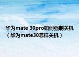 华为mate 30pro如何强制关机（华为mate30怎样关机）