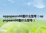 oppopeom00是什么型号（oppopeam00是什么型号）