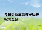 今日更新离婚孩子抚养权怎么分