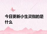 今日更新小生灵指的是什么