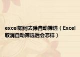 excel如何去除自动筛选（Excel取消自动筛选后会怎样）