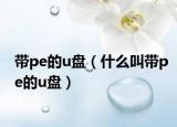 带pe的u盘（什么叫带pe的u盘）
