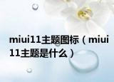 miui11主题图标（miui11主题是什么）