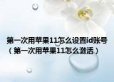 第一次用苹果11怎么设置id账号（第一次用苹果11怎么激活）