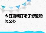 今日更新订婚了想退婚怎么办
