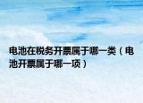 电池在税务开票属于哪一类（电池开票属于哪一项）