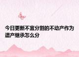 今日更新不宜分割的不动产作为遗产继承怎么分