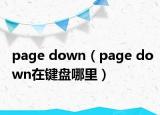 page down（page down在键盘哪里）