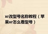 xr改型号名称教程（苹果xr怎么看型号）