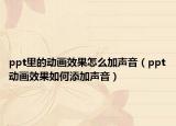 ppt里的动画效果怎么加声音（ppt动画效果如何添加声音）