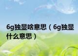 6g独显啥意思（6g独显什么意思）