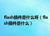 flash插件是什么呀（flash插件是什么）