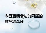 今日更新非法的同居的财产怎么分