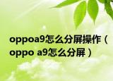 oppoa9怎么分屏操作（oppo a9怎么分屏）