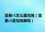 坚果r1怎么露刘海（坚果r1是刘海屏吗）