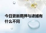 今日更新羁押与逮捕有什么不同