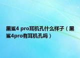 黑鲨4 pro耳机孔什么样子（黑鲨4pro有耳机孔吗）