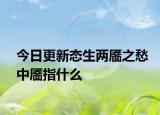 今日更新态生两靥之愁中靥指什么
