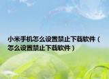小米手机怎么设置禁止下载软件（怎么设置禁止下载软件）